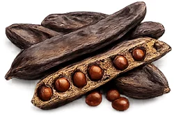 Diaformin — carruba (Ceratonia siliqua)