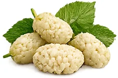 Diaformin — estratto di gelso bianco (Morus alba)